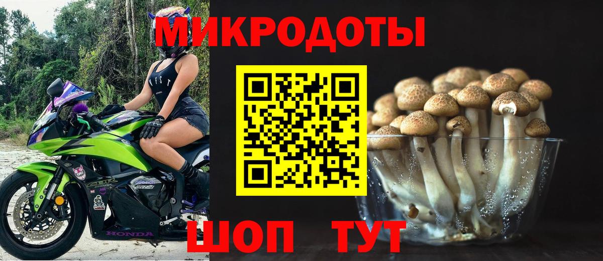 Псилоцибиновые грибы прущие грибы  Вход с VPN  Кизилюрт  Галлюциногенные грибы Cubensis 