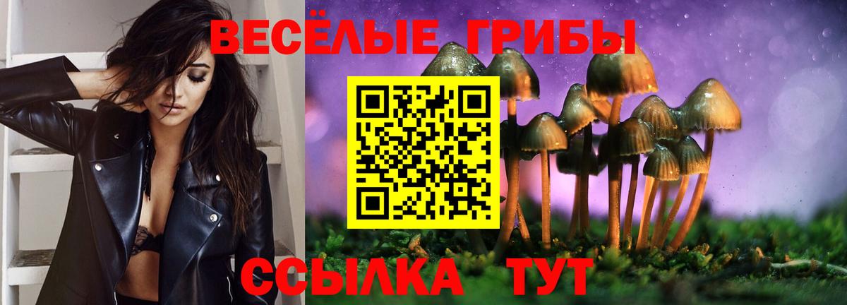 Псилоцибиновые грибы Magic Shrooms Кизилюрт